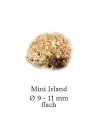 Happy Dog Supreme Mini Irland 4Kg Happy Dog - 2