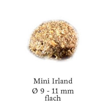 Happy Dog Supreme Mini Irland 4Kg Happy Dog - 2
