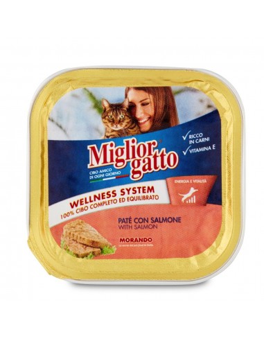 Miglior Gatto κεσεδάκι Πατέ με Σολομό 100g Miglior Gatto κεσεδάκι Πατέ με Σολομό 100g