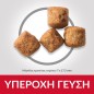 Hill's Science Plan Adult Light Large Breed with Chicken 14kg Hill's Science Plan Adult Light Large Breed with Chicken 14kg