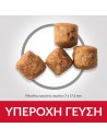 HILL'S SCIENCE PLAN Adult Light Large Breed με Κοτόπουλο 10Kg+4Kg Δώρο Hill's Science Plan Canine - 2