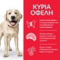 Hill's Science Plan Adult Light Large Breed with Chicken 14kg Hill's Science Plan Adult Light Large Breed with Chicken 14kg