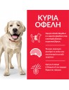 HILL'S SCIENCE PLAN Adult Light Large Breed με Κοτόπουλο 10Kg+4Kg Δώρο Hill's Science Plan Canine - 3