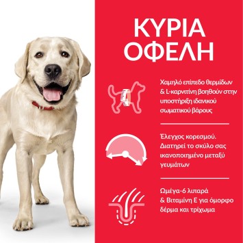 HILL'S SCIENCE PLAN Adult Light Large Breed με Κοτόπουλο 10Kg+4Kg Δώρο Hill's Science Plan Canine - 3