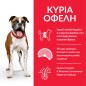Hill's Science Plan Adult Light Medium Breed με Κοτόπουλο 14kg Hill's Science Plan Adult Light Medium Breed με Κοτόπουλο 14kg