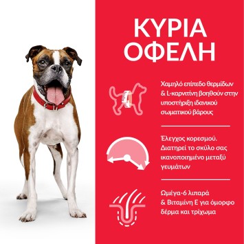 HILL'S SCIENCE PLAN Adult Light Medium Breed με Κοτόπουλο 10Kg+4Kg Δώρο Hill's Science Plan Canine - 2
