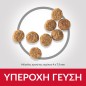 Hill's Science Plan Adult Light Small & Mini Breed with Chicken 1,2kg + 300g Free Hill's Science Plan Adult Light Small & Mini Breed with Chicken 1,2kg + 300g Free