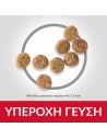 HILL'S SCIENCE PLAN Adult Light Small & Mini Breed με Κοτόπουλο 1,2kg + 300g Δώρο Hill's Science Plan Canine - 3