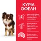 Hill's Science Plan Adult Light Small & Mini Breed with Chicken 1,2kg + 300g Free Hill's Science Plan Adult Light Small & Mini Breed with Chicken 1,2kg + 300g Free