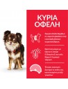 HILL'S SCIENCE PLAN Adult Light Small & Mini Breed με Κοτόπουλο 1,2kg + 300g Δώρο Hill's Science Plan Canine - 2