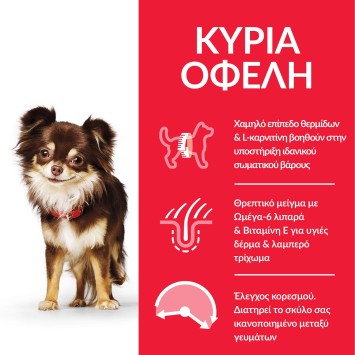 HILL'S SCIENCE PLAN Adult Light Small & Mini Breed με Κοτόπουλο 1,2kg + 300g Δώρο Hill's Science Plan Canine - 2