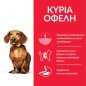 Hill's Science Plan Adult Perfect Weight Small & Mini Breed with Chicken 1,5 kg Hill's Science Plan Adult Perfect Weight Small & Mini Breed with Chicken 1,5 kg