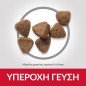 Hill's Science Plan Kitten with chicken 1kg + 500g Free Hill's Science Plan Kitten with chicken 1kg + 500g Free