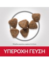 HILL'S Science Plan Kitten with chicken 1kg + 500g Δώρο Hill's Science Plan Feline - 2