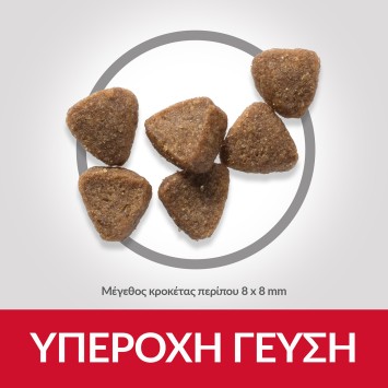 HILL'S Science Plan Kitten with chicken 1kg + 500g Δώρο Hill's Science Plan Feline - 2