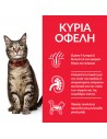 HILL'S Science Plan Adult with Beef 85g Hill's Science Plan Feline - 2
