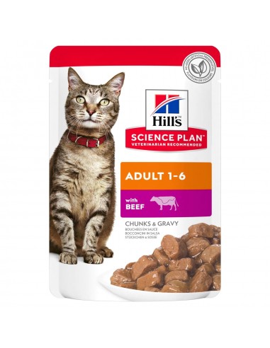 HILL'S Science Plan Adult with Beef 85g