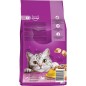 WHISKAS® Adult Πλήρης Ξηρή Τροφή Γάτας με Κοτόπουλο 14kg