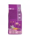 WHISKAS® Adult Πλήρης Ξηρή Τροφή Γάτας με Κοτόπουλο 14kg Whiskas - 2