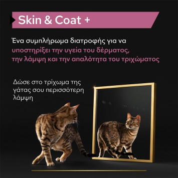 Purina Pro Plan Cat Skin & Coat+ Συμπλήρωμα Διατροφής σε Έλαιο 150ml Pro Plan Veterinary Diets Feline Dry - 3
