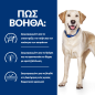 Hill's Prescription Diet Τροφή Σκύλου d/d με Πάπια & Ρύζι 12kg Hill's Prescription Diet Τροφή Σκύλου d/d με Πάπια & Ρύζι 12kg
