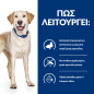 Hill's Prescription Diet Τροφή Σκύλου d/d με Πάπια & Ρύζι 12kg Hill's Prescription Diet Τροφή Σκύλου d/d με Πάπια & Ρύζι 12kg