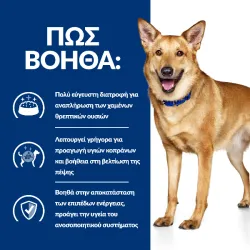 Hill's Prescription Diet Canine i/d Digestive Care Κοτόπουλο 9kg+3kg Δώρο Hill's Prescription Diet Canine - 2