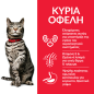 Hill's Science Plan  Feline Adult Urinary Health 1kg+500g Free