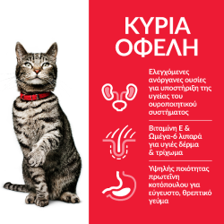 HILL'S Science Plan  Feline Adult Urinary Health με Κοτόπουλο 1kg + 500g Δώρο Hill's Science Plan Feline - 2