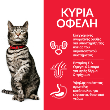 HILL'S Science Plan  Feline Adult Urinary Health με Κοτόπουλο 1kg + 500g Δώρο Hill's Science Plan Feline - 2