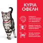 Hill's Science Plan Adult Hairball Indoor για γάτες με Κοτόπουλο 1,5kg Hill's Science Plan Adult Hairball Indoor για γάτες με Κοτόπουλο 1,5kg