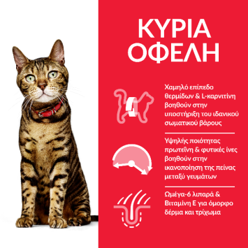 HILL'S Science Plan Adult για γάτες με Κοτόπουλο 15kg Hill's Science Plan Feline - 1