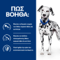 Hill's PD Canine u/d 4kg Τροφή για Σκύλους Hill's PD Canine u/d 4kg Τροφή για Σκύλους
