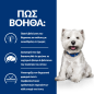 Hill's Prescription Diet Canine Derm Complete Mini 1kg Τροφή για Σκύλους Hill's Prescription Diet Canine Derm Complete Mini 1kg Τροφή για Σκύλους