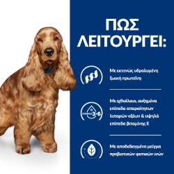 PD Canine z/d 12/370g Hill's Prescription Diet Canine - 2