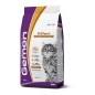 Gemon Cat Kitten Κοτόπουλο & Ρύζι 2kg Gemon Cat Kitten Κοτόπουλο & Ρύζι 2kg