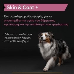 Purina Pro Plan Dog Skin & Coat+ Συμπλήρωμα Διατροφής σε Έλαιο 250ml Pro Plan Veterinary Diets Dog Dry - 2