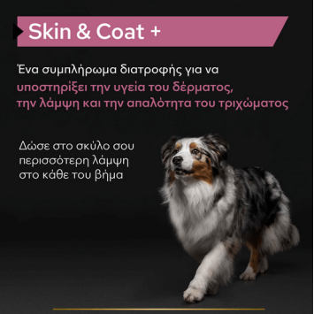 Purina Pro Plan Dog Skin & Coat+ Συμπλήρωμα Διατροφής σε Έλαιο 250ml Pro Plan Veterinary Diets Dog Dry - 2