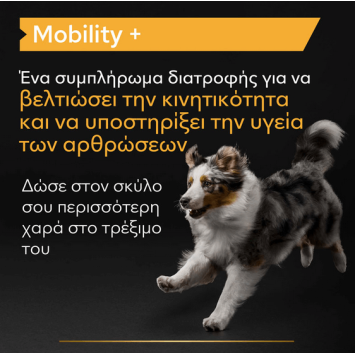 Purina Pro Plan Dog Mobility+ Συμπλήρωμα Διατροφής σε Σκόνη 60gr Pro Plan Veterinary Diets Dog Dry - 3