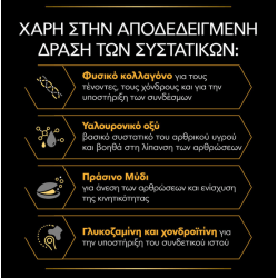 Purina Pro Plan Dog Mobility+ Συμπλήρωμα Διατροφής σε Σκόνη 60gr Pro Plan Veterinary Diets Dog Dry - 4