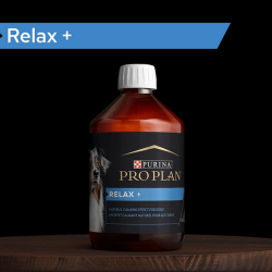 Purina Pro Plan Dog Relax+ Συμπλήρωμα Διατροφής σε Έλαιο 250ml Pro Plan Veterinary Diets Dog Dry - 2