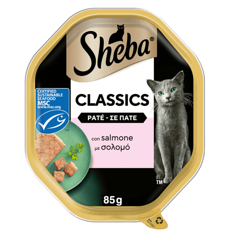 Sheba Δισκάκι Πατέ με Σολομό 85g Sheba Δισκάκι Πατέ με Σολομό 85g