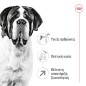 Royal Canin Giant Adult Dog 15κγ Royal Canin Giant Adult Dog 15κγ