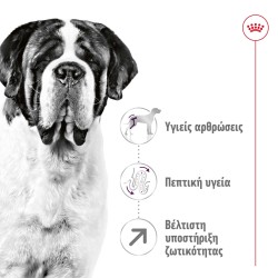 Royal Canin Giant Adult Dog 15κγ Royal Canin Size - 1