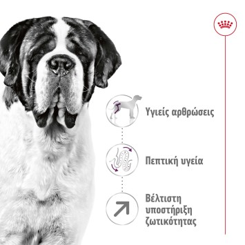 Royal Canin Giant Adult Dog 15κγ Royal Canin Size - 1