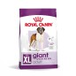 Royal Canin Giant Adult Dog 15κγ Royal Canin Giant Adult Dog 15κγ