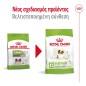 Royal Canin X-Small Ageing 12+ 1,5kg Royal Canin X-Small Ageing 12+ 1,5kg