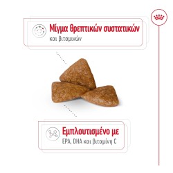 Royal Canin X-Small Ageing 12+ 1,5kg Royal Canin Size - 4