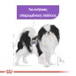 Royal Canin X-Small Adult Sterilised 1,5kg Royal Canin X-Small Adult Sterilised 1,5kg