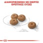 Royal Canin Mini Sterilised 3kg